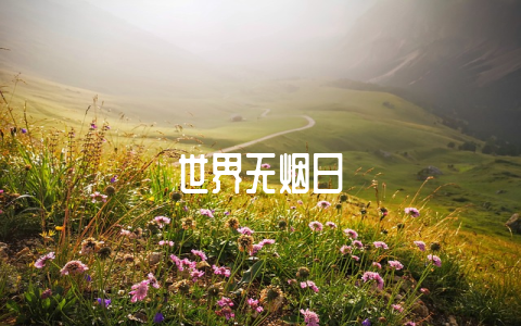 世界无烟日-不戒烟